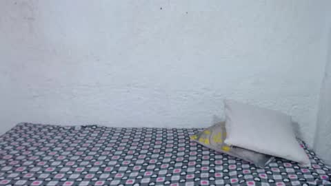 Snapshot of alise_coronado chatting on 11-29-25, 12:08 aliss online show from 11-29-25, 12:08