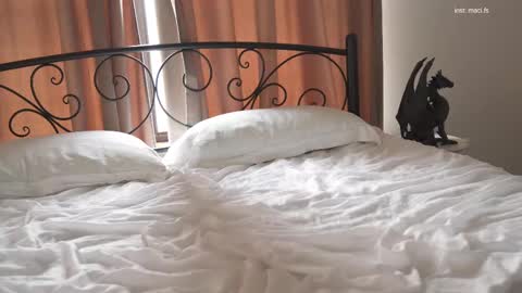 Alissa online show from 02-19-25, 10:23