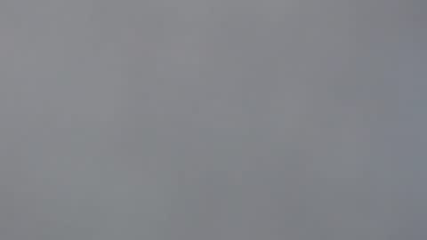 aliuno12345678 online show from 12-29-24, 12:34