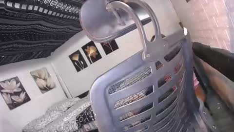 trina online show from 12-16-25, 10:09