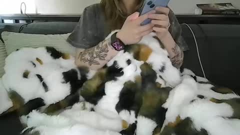 Snapshot of alliebearx chatting on 04-28-26, 05:40 alliebearx online show from 04-28-26, 05:40