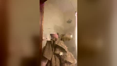 Snapshot of allisonlove2 chatting on 04-09-26, 11:32 allisonlove2 online show from 04-09-26, 11:32