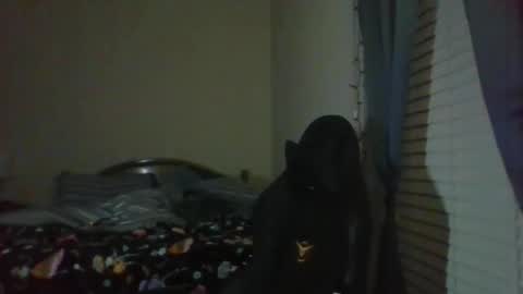 Snapshot of ally12334 chatting on 05-23-26, 01:55 ally12334 online show from 05-23-26, 01:55