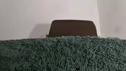 alotofcream4u online show from 07-16-26, 06:30