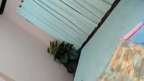 LEXY online show from 02-02-25, 04:43