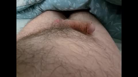 Snapshot of altirando3 chatting on 09-24-25, 12:41 gordy2263 online show from 09-24-25, 12:41