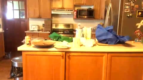 Alvie online show from 01-26-25, 03:03