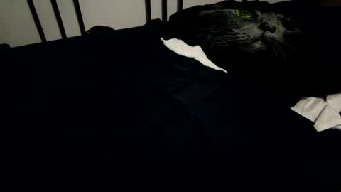 Snapshot of amadeusz chatting on 12-06-24, 10:19 amadeusz online show from 12-06-24, 10:19