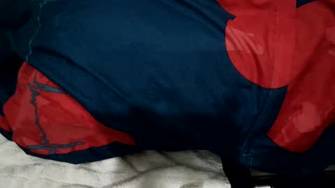 Snapshot of amadeusz chatting on 12-22-24, 01:34 amadeusz online show from 12-22-24, 01:34