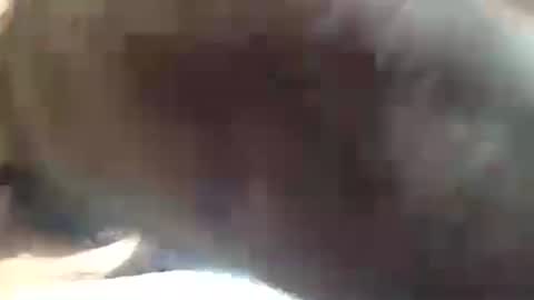 Snapshot of amandapanda1 chatting on 07-19-26, 01:48 amandapanda1 online show from 07-19-26, 01:48