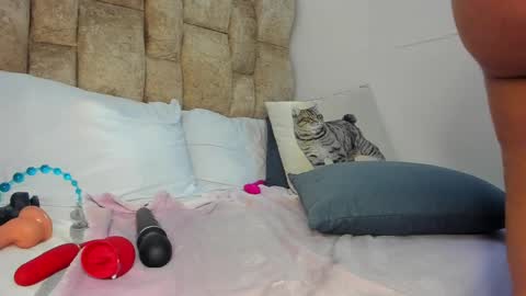 AMATISTA online show from 11-12-25, 09:03