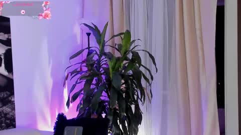 Amatista online show from 09-22-25, 11:51