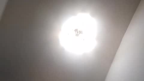 Petruss s Csabesztoo online show from 01-17-25, 03:34