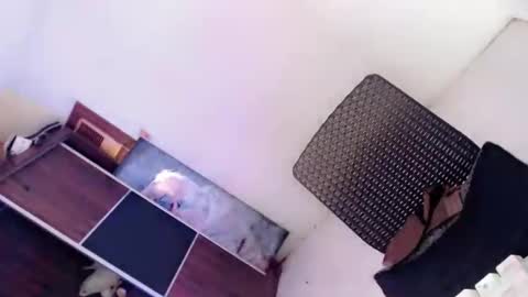 Amaya online show from 10-08-25, 02:20