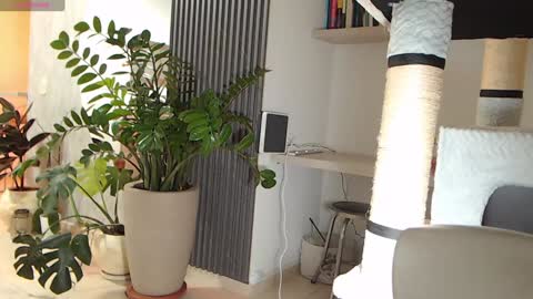 Snapshot of ambarhill chatting on 01-22-25, 04:02 Ambar online show from 01-22-25, 04:02