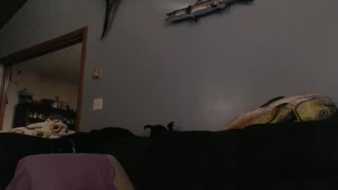 Snapshot of ambers666999 chatting on 10-25-25, 02:19 ambers666999 online show from 10-25-25, 02:19