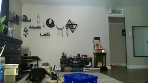Ambitiousbackstrokes online show from 05-22-26, 07:30