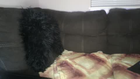 Snapshot of amiri_sweater chatting on 02-25-25, 06:36 amiri_sweater online show from 02-25-25, 06:36