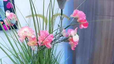 amy__wats0n online show from 03-17-26, 07:17