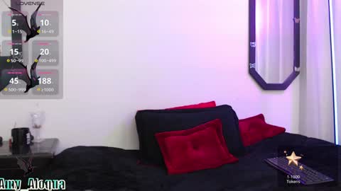 Snapshot of amy_aloqua chatting on 01-27-25, 02:24 Amy online show from 01-27-25, 02:24