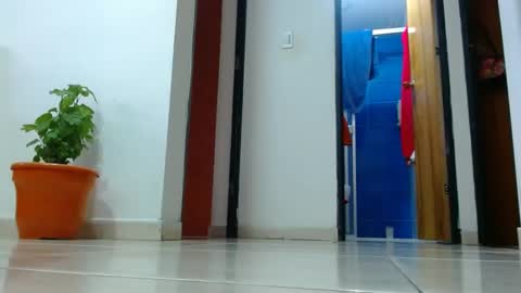 anaids online show from 12-19-24, 02:57