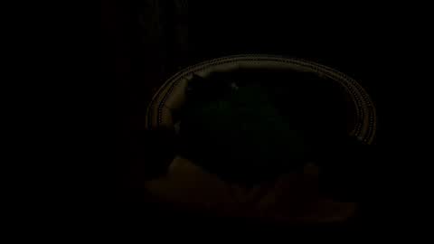 Snapshot of analia18_ chatting on 01-17-25, 06:33 analia18 online show from 01-17-25, 06:33