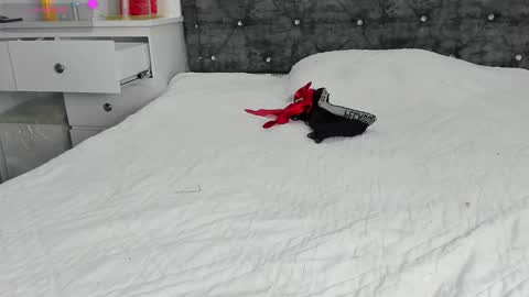  ANASTASIA DANGER  online show from 01-01-25, 04:18