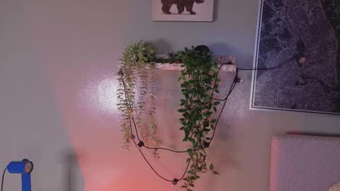 Kendra  online show from 02-20-26, 10:16