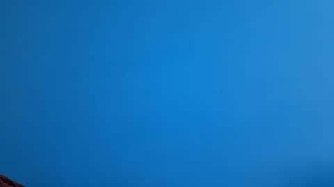 Snapshot of andemax chatting on 11-21-25, 10:36 And 16.8 online show from 11-21-25, 10:36