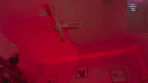 Snapshot of andre_cole chatting on 02-10-25, 05:36 Andre Cole online show from 02-10-25, 05:36