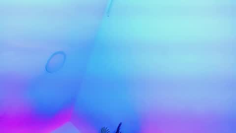 ANDREINA online show from 02-13-26, 08:38