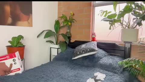 Andy online show from 03-11-26, 12:22