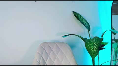 andy palmer online show from 11-06-25, 11:44