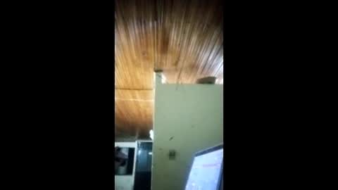 Angel dust9 online show from 02-03-26, 05:16