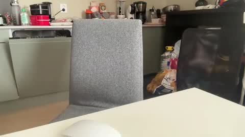 Snapshot of angelharly chatting on 03-08-25, 10:11 AngelHarly online show from 03-08-25, 10:11