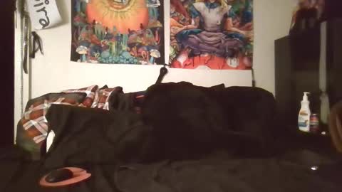 Snapshot of angelshempire420 chatting on 02-08-26, 05:33 Angel and Mark online show from 02-08-26, 05:33