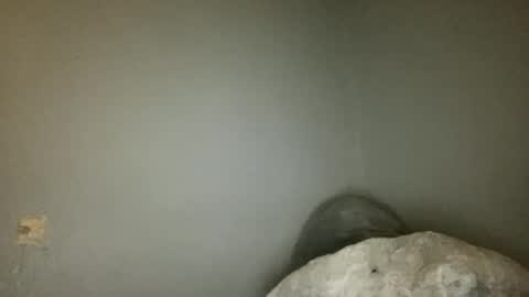 Animeboygirls online show from 06-18-26, 03:40