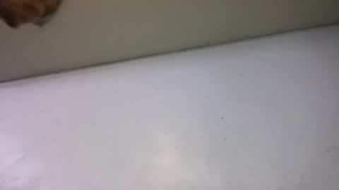 Animeboygirls online show from 07-14-26, 04:06