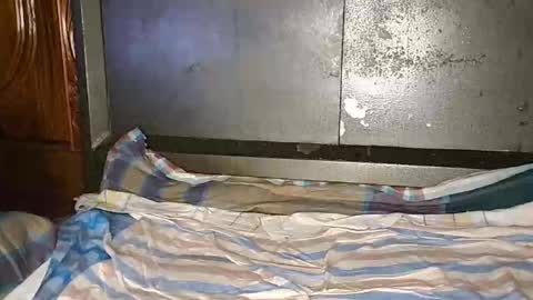 Snapshot of anis4551 chatting on 01-12-26, 08:14 anis4551 online show from 01-12-26, 08:14