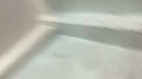 annabae69 online show from 04-13-26, 12:21