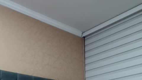       online show from 02-19-26, 01:01