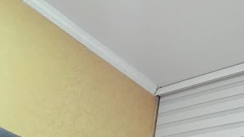       online show from 03-31-26, 12:45