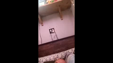 anthony9168 online show from 03-25-26, 11:22