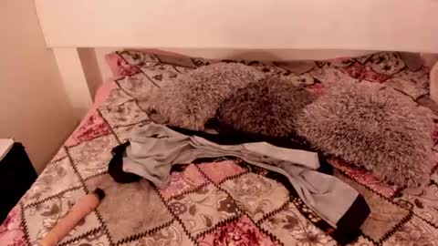 Snapshot of antoniasalas chatting on 06-14-26, 02:24 antoniasalas online show from 06-14-26, 02:24