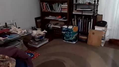 antonino85 online show from 12-24-24, 07:11