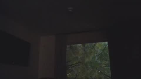 Snapshot of anytime07 chatting on 11-05-25, 01:38 Daddy online show from 11-05-25, 01:38