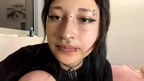 Snapshot of aoi_dandelion chatting on 12-29-24, 12:52 aoi_dandelion online show from 12-29-24, 12:52