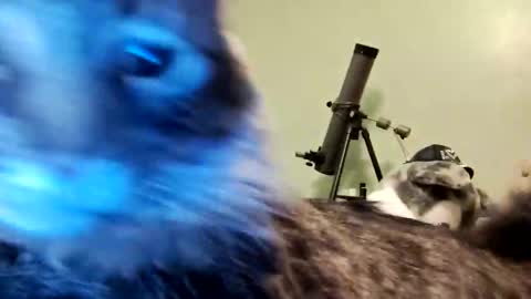 Aphrodite60 online show from 01-12-25, 06:28