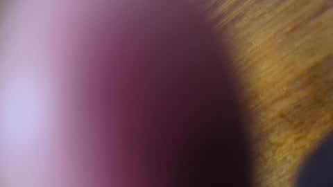 apollodarkmn online show from 07-24-26, 04:10