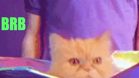 aprill_o_nill online show from 04-17-26, 03:26